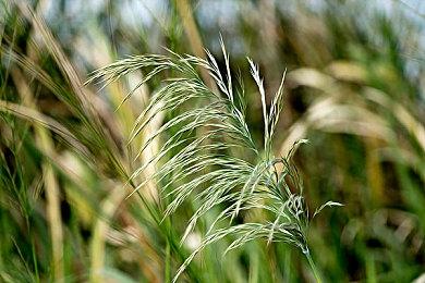 《卡普空对战格斗合集2》新预告及截图 2025年发售